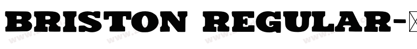 Briston Regular字体转换